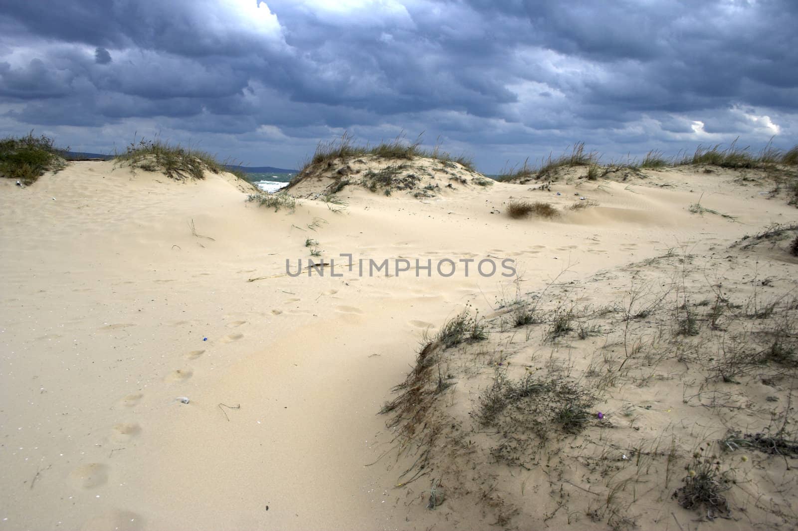 beach by alexkosev