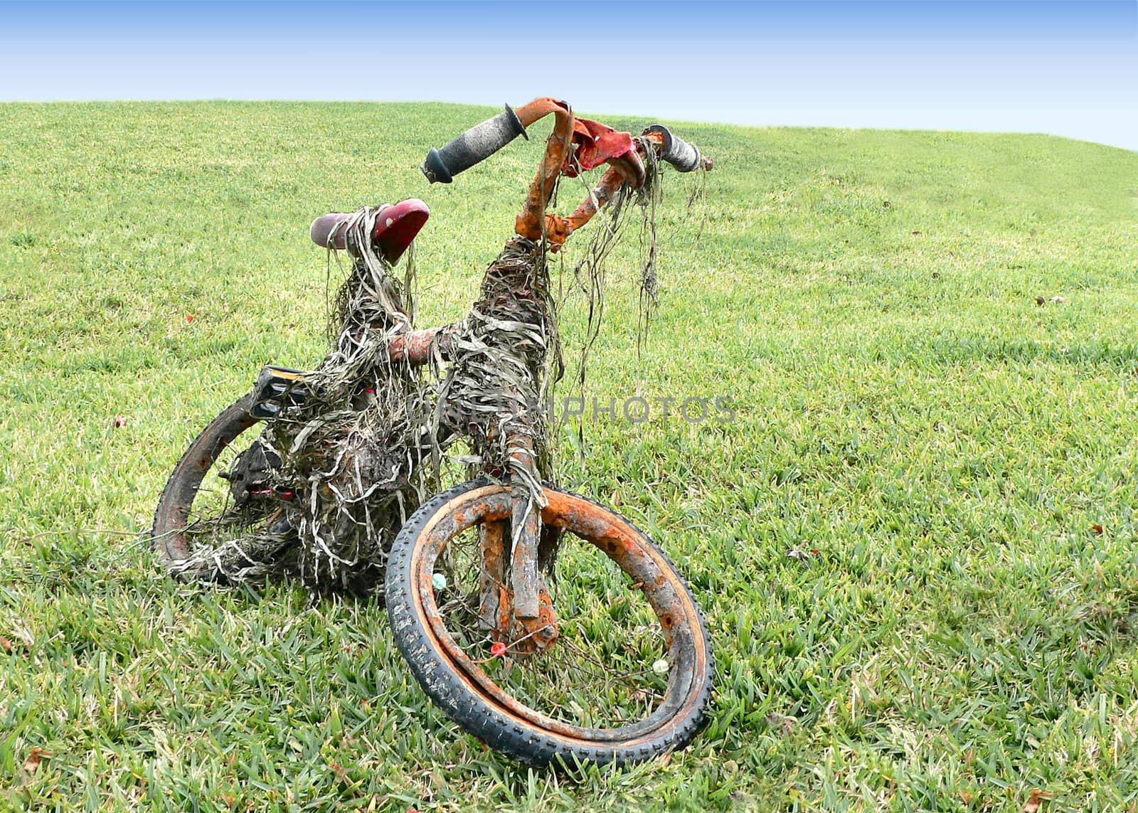 rusted and ruined children's bicycle on grassy lawn