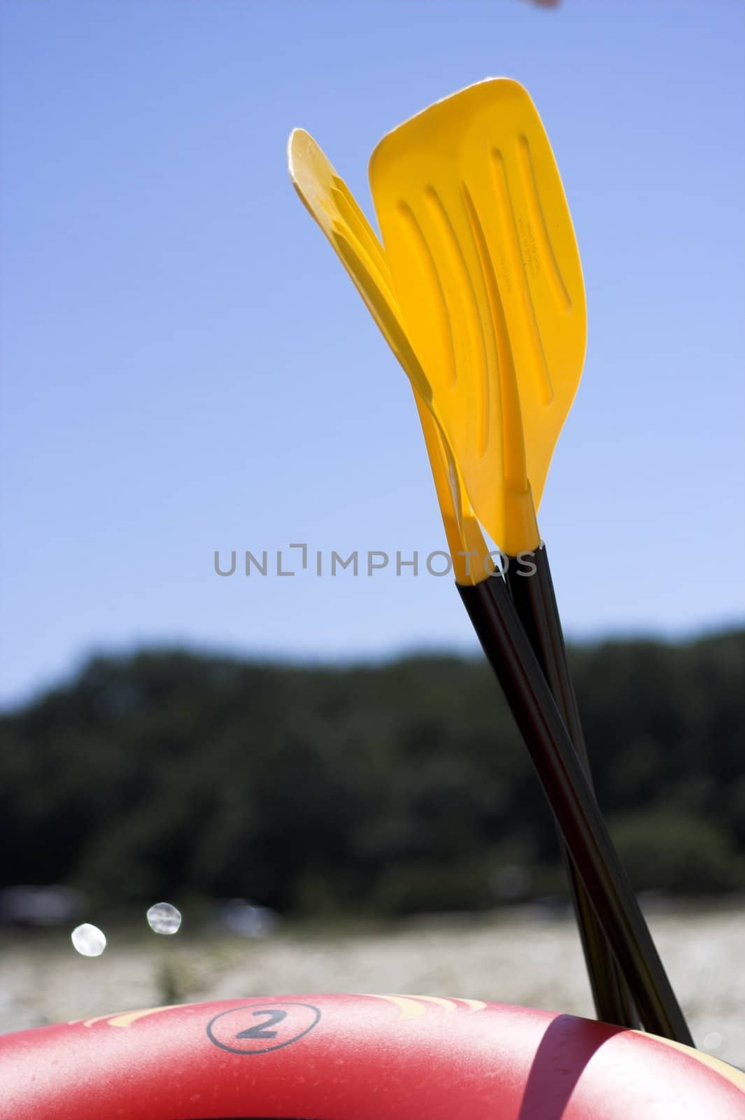 Photo of paddle in sunny day