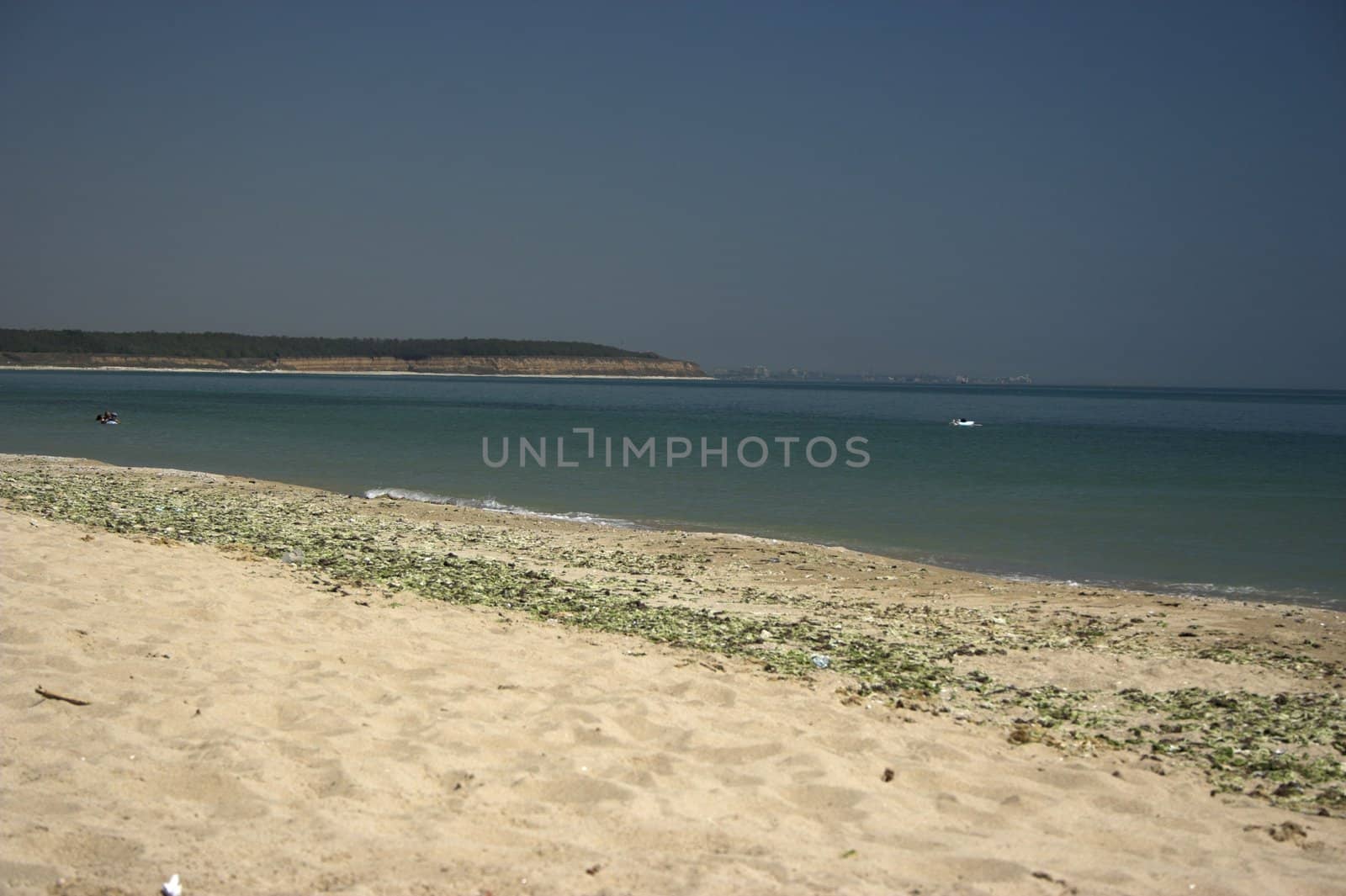 beach by alexkosev