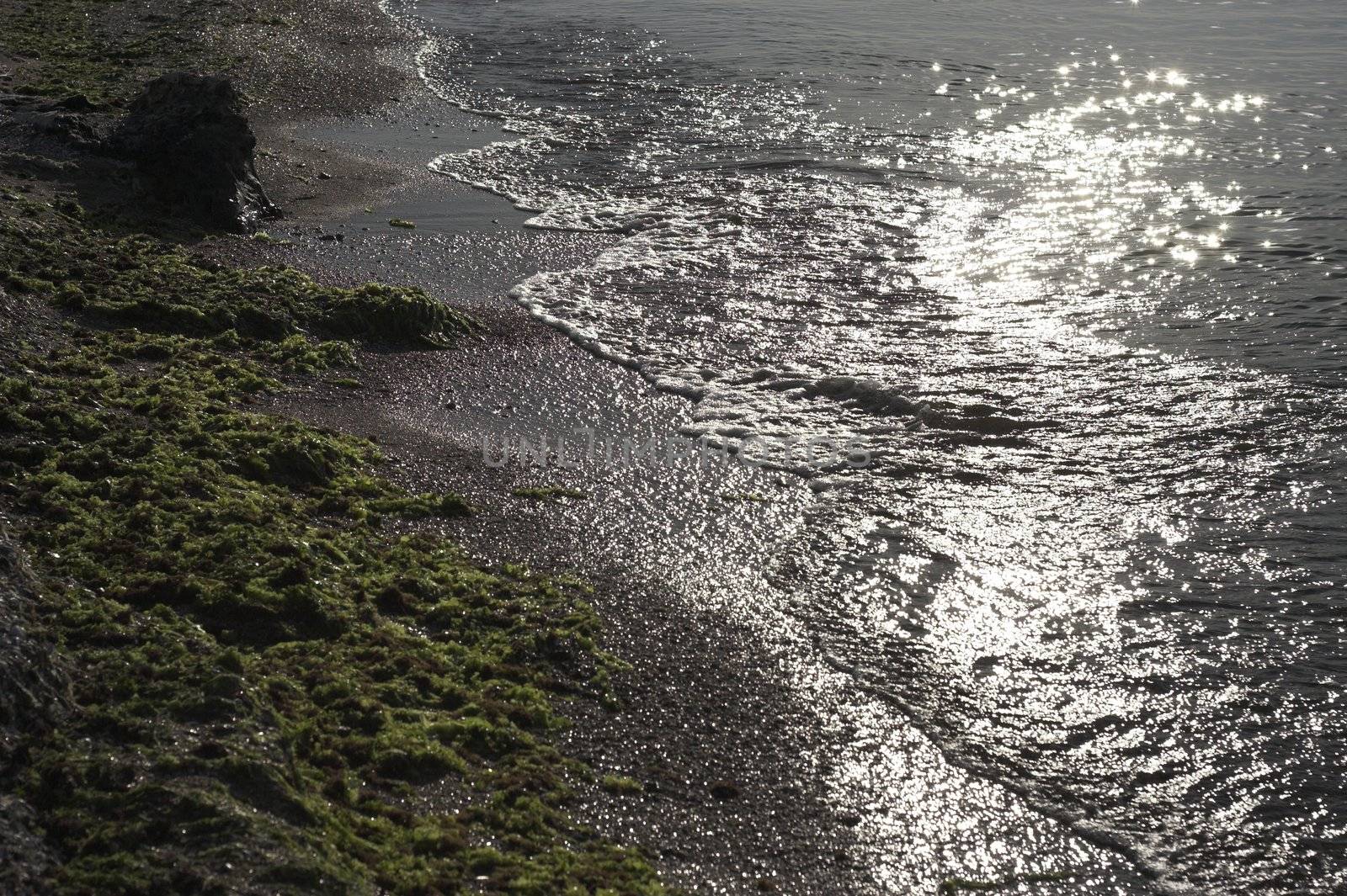 Picture of beach in Bulgaria