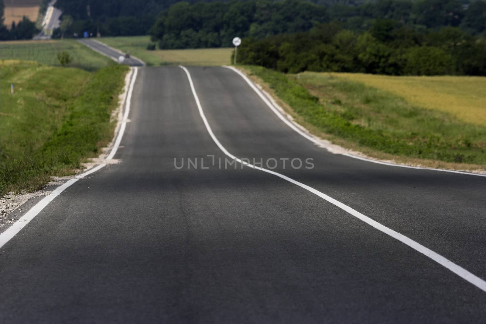 White signs on the middle of the road 