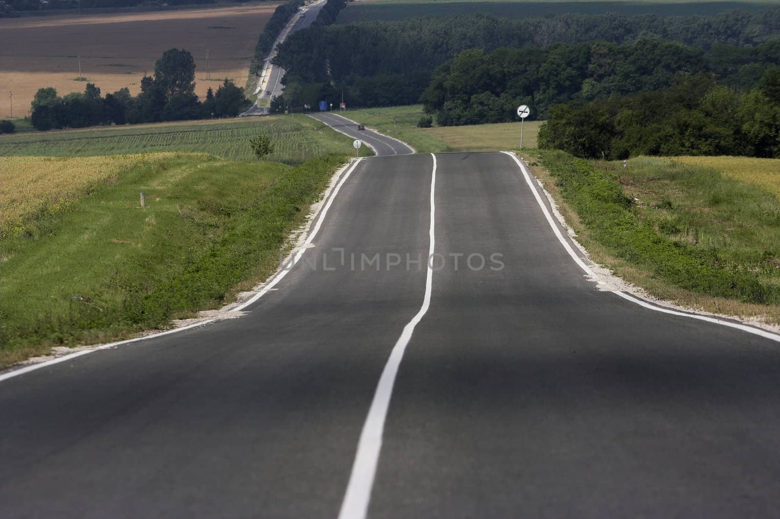 White signs on the middle of the road 