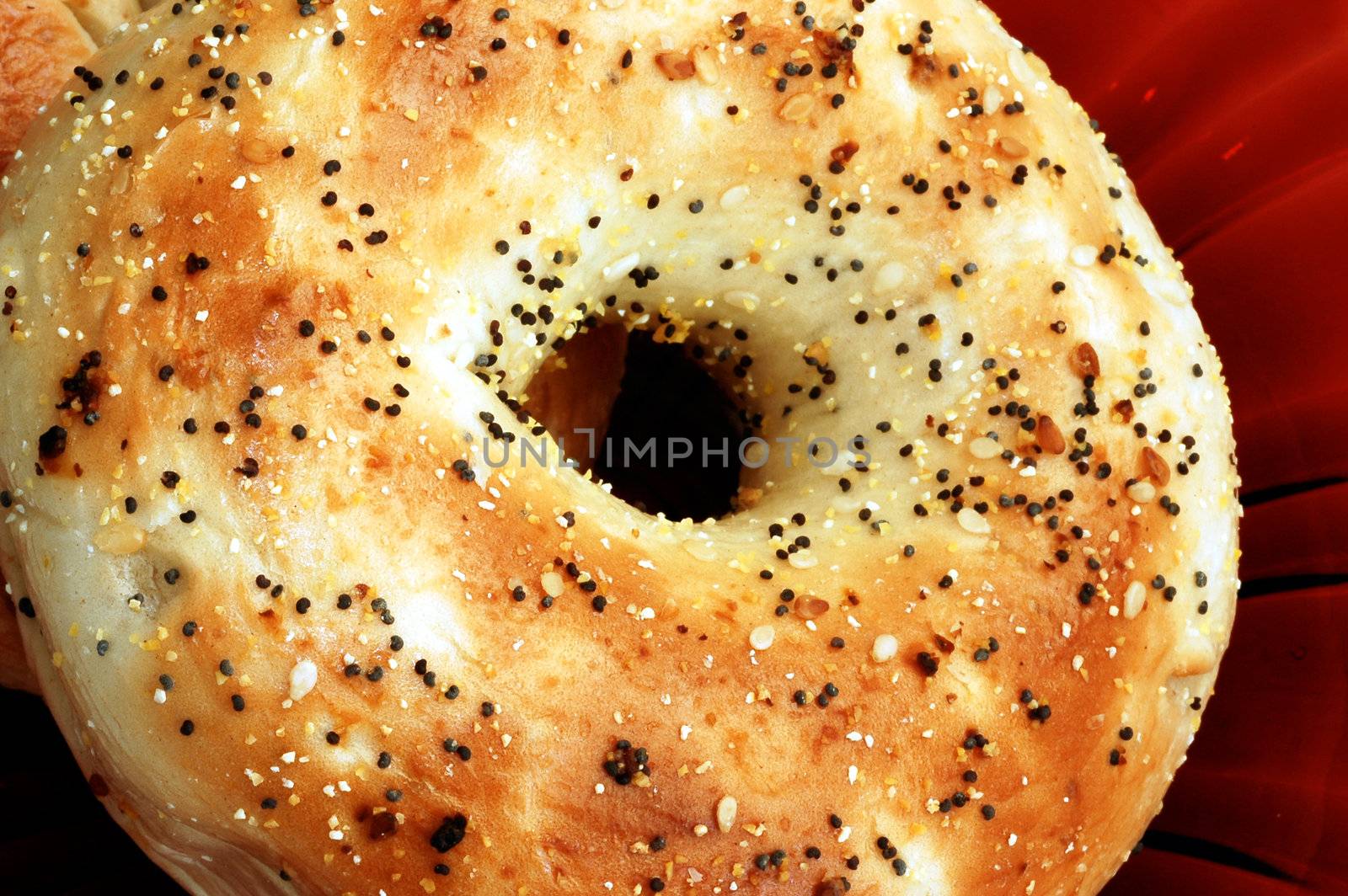 Bagel with poppy seeds by Geoarts