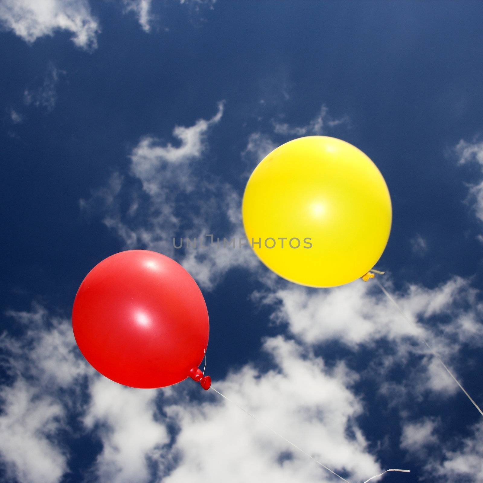 Colorful balloons on the sky 