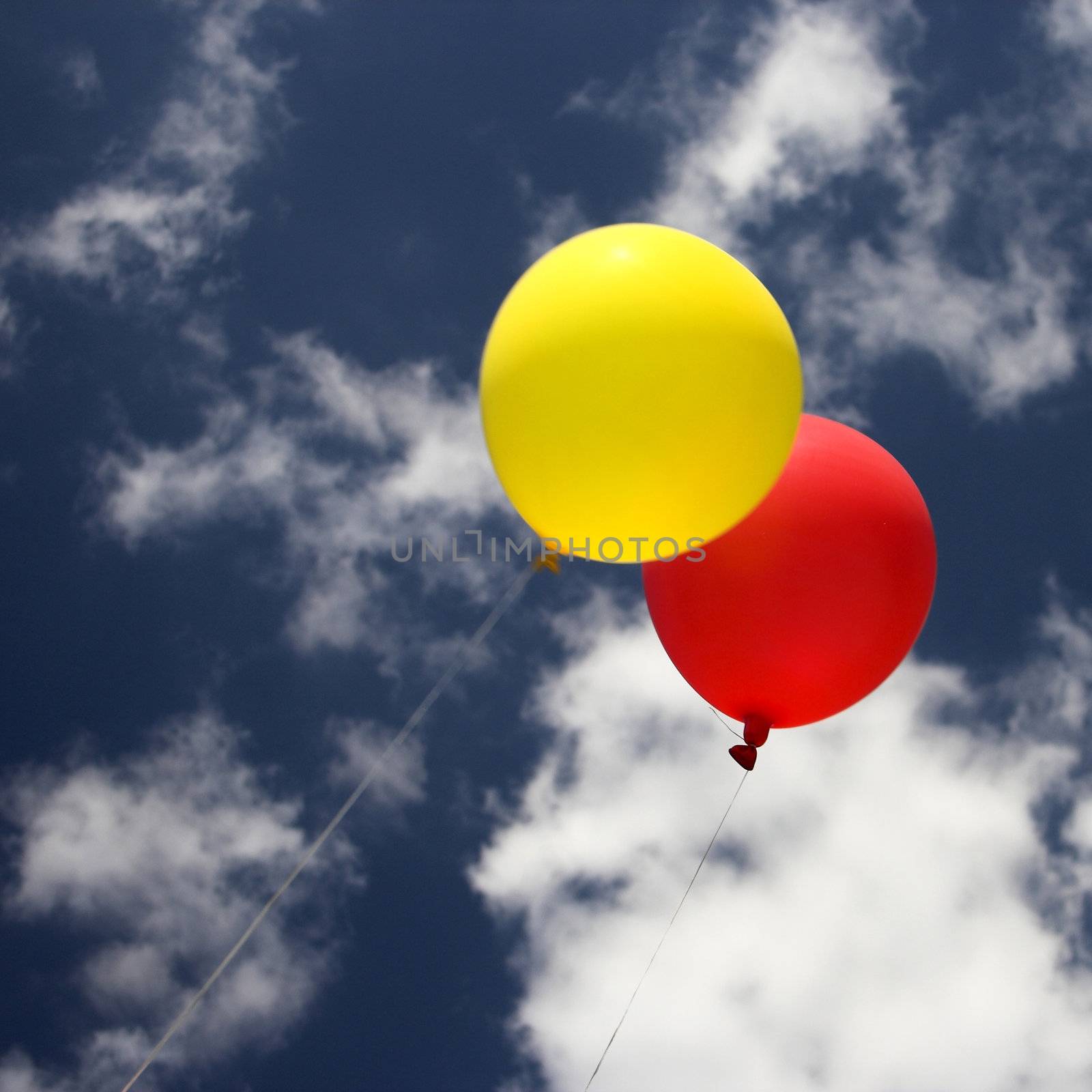 Colorful balloons on the sky 