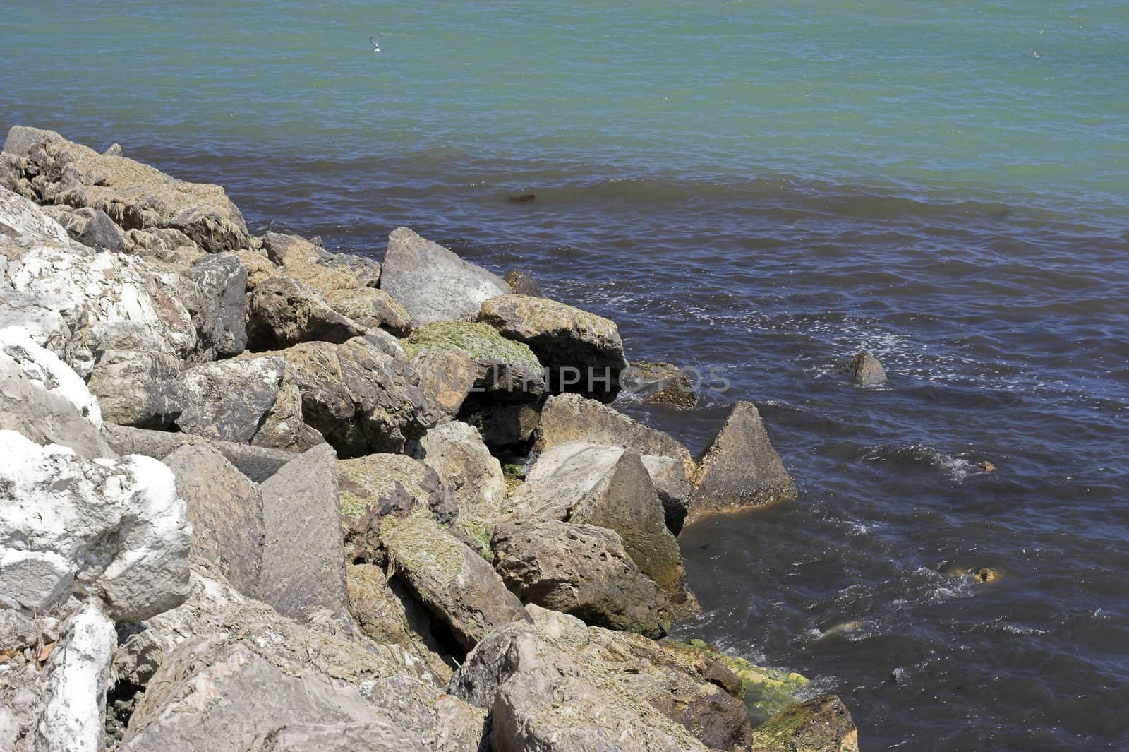 Beach scene by alexkosev