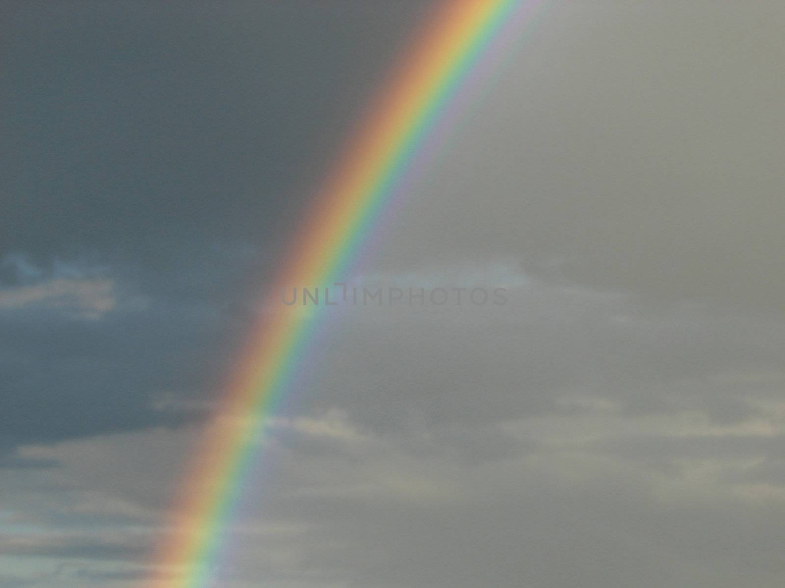 Rainbow_6 by Thorvis