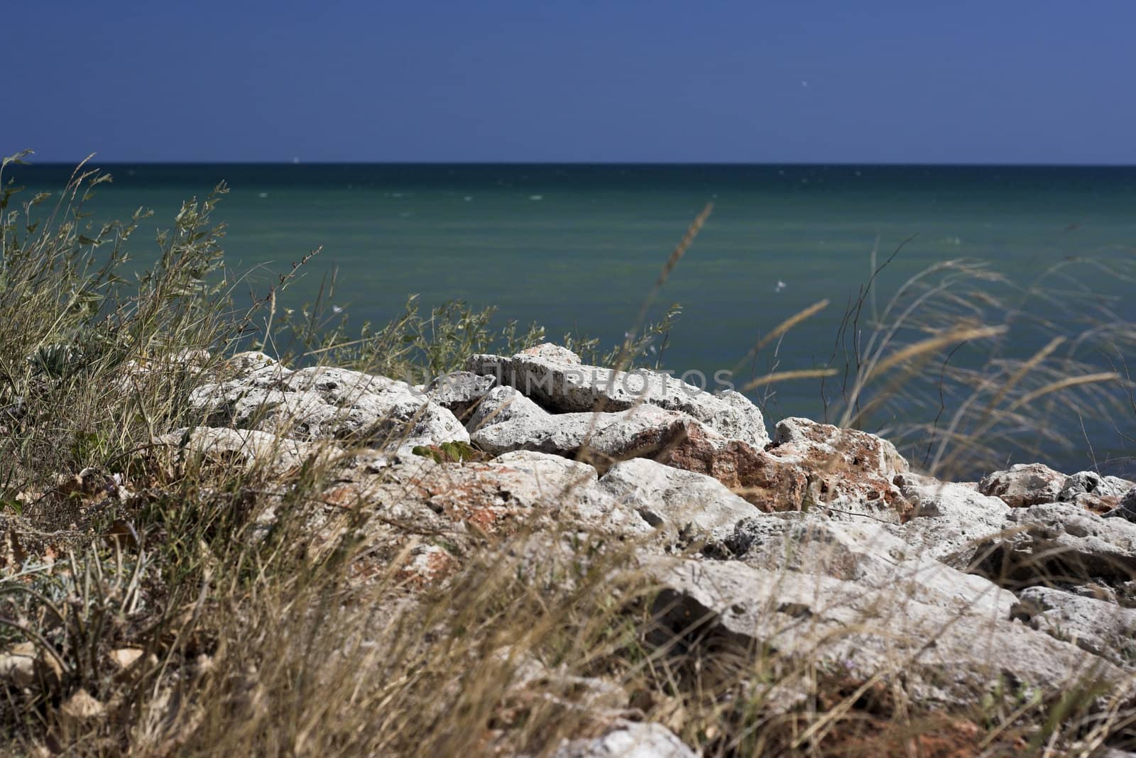 Beach scene by alexkosev