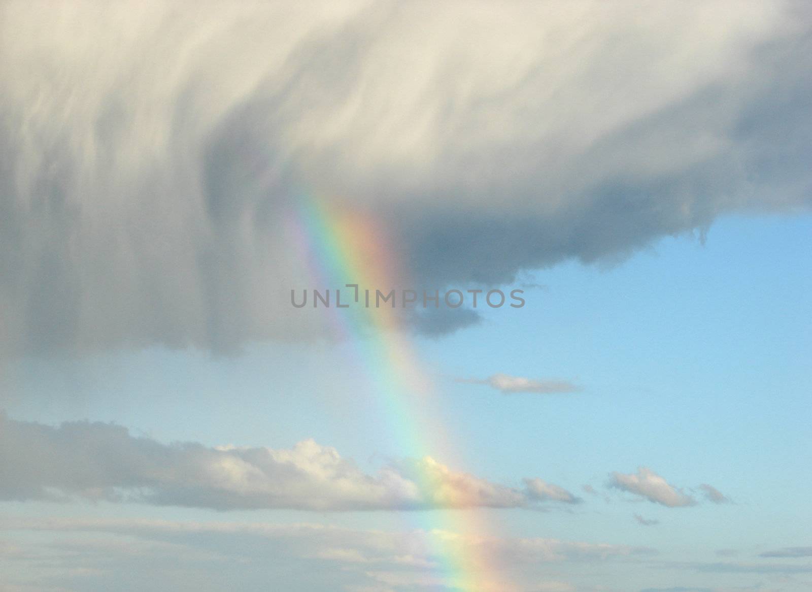 Rainbow_11 by Thorvis