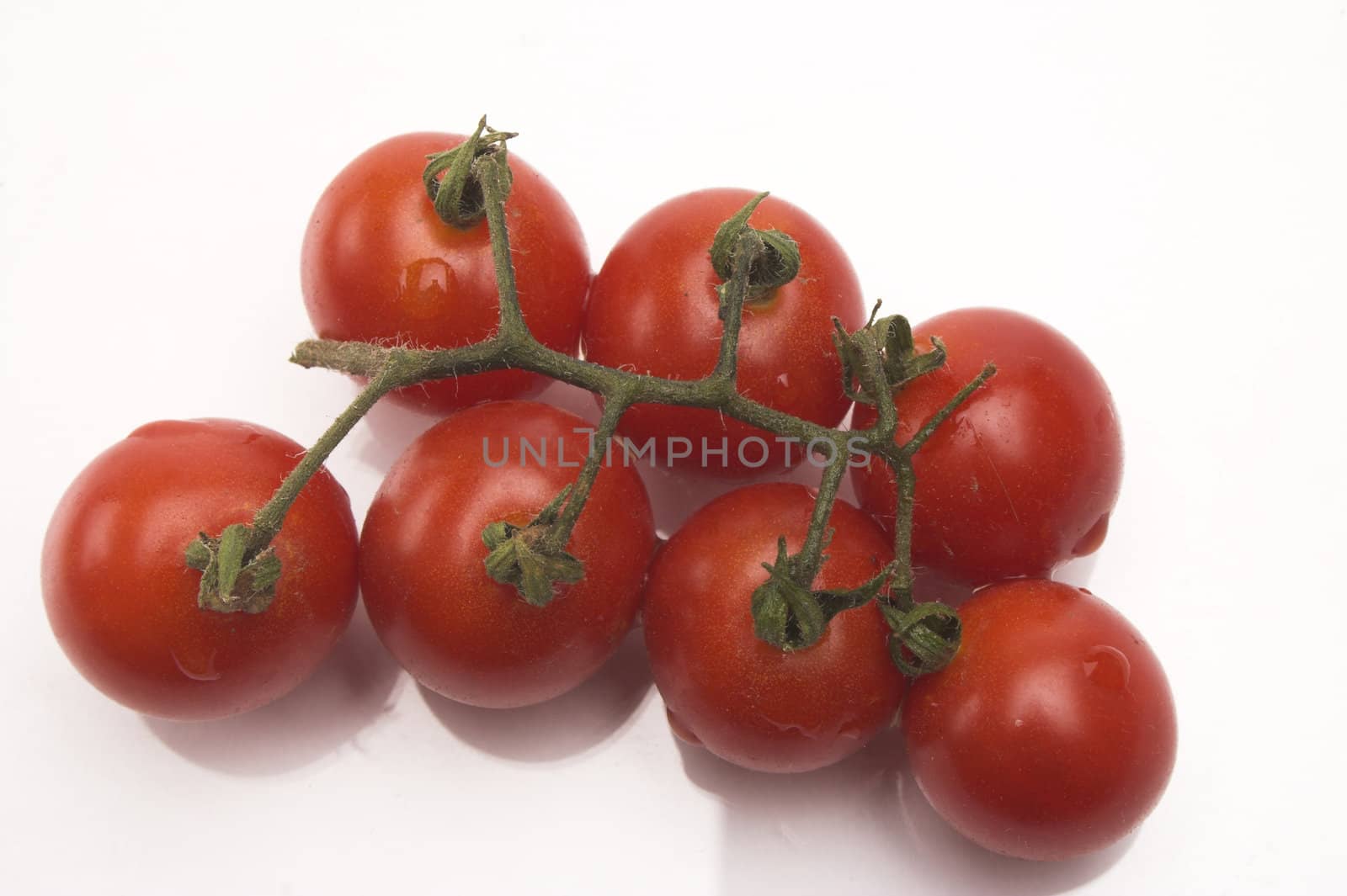  Cherry tomatos twig over white