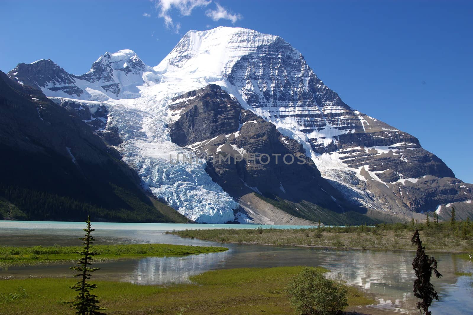 Mt. Robson in the Canadian rockies