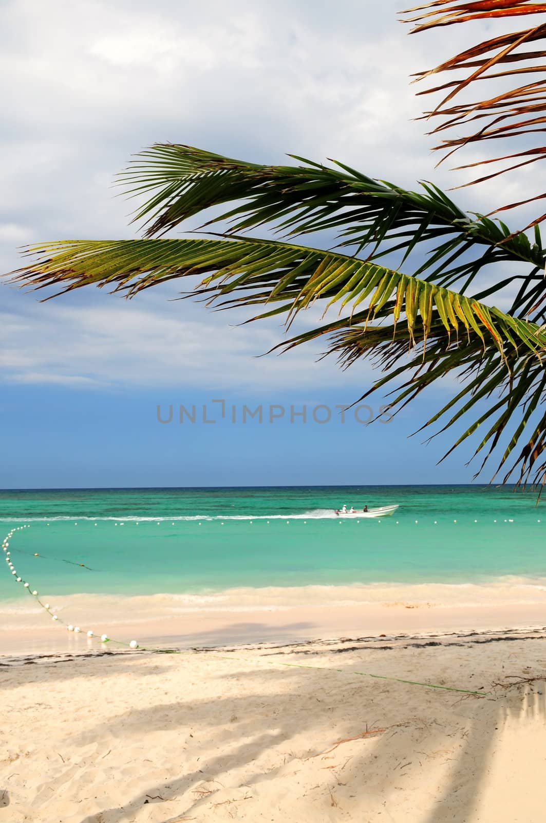 Tropical sandy beach of a Caribbean island