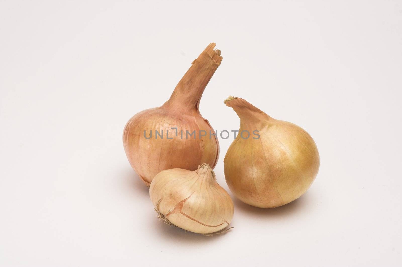 Picture of onion  over white