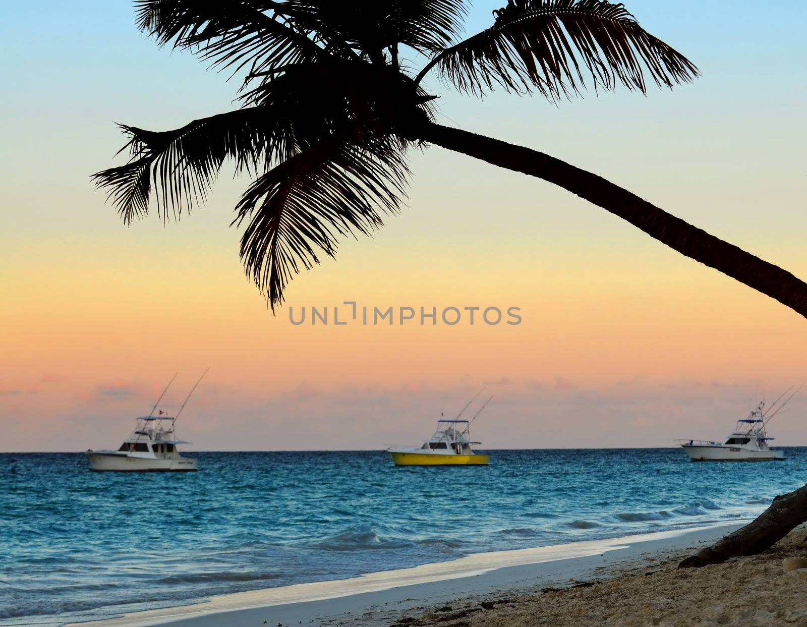 Palm tree and fishing boats at tropical beach at sunset. Focus on palm tree.