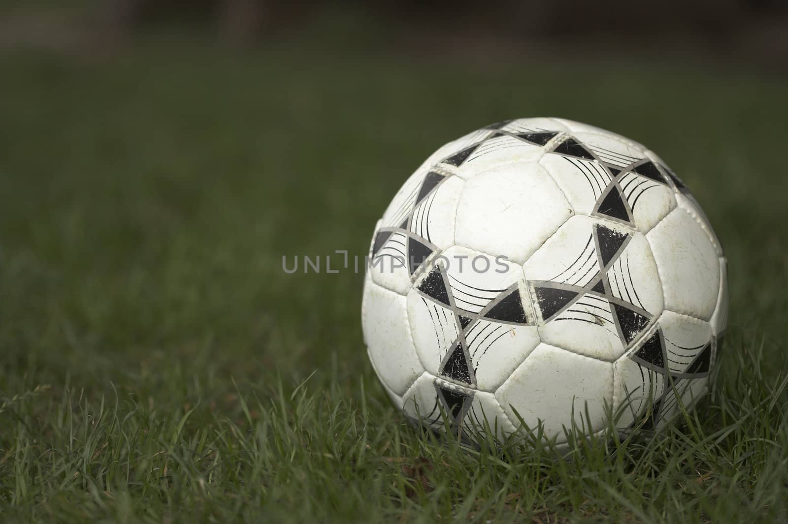 Soccer ball on the grass