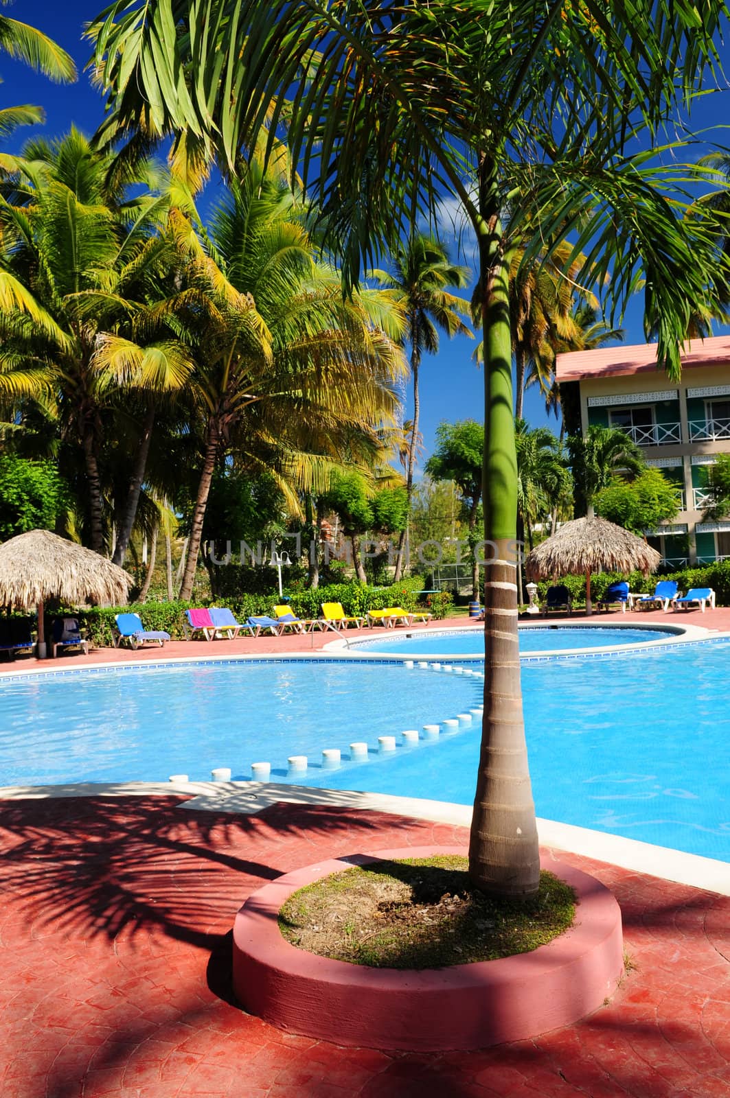 Swimming pool and hotel with palm trees at tropical resort