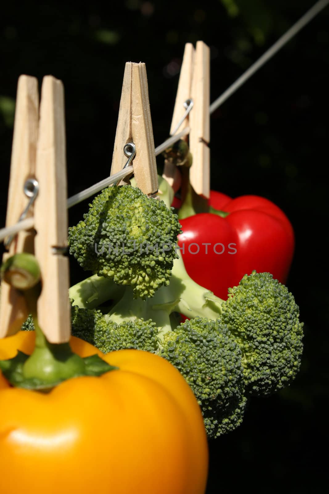 A concept shot relating to organic and healthy eating, and chemical and pesticide use.  A yellow bell pepper, a red bell pepper, and a head of broccoli hung on a clothesline with wooden clothespegs