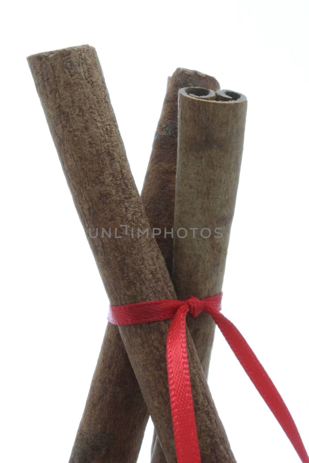 Three cinnamon sticks, tied with a red ribbon, isolated on a white background