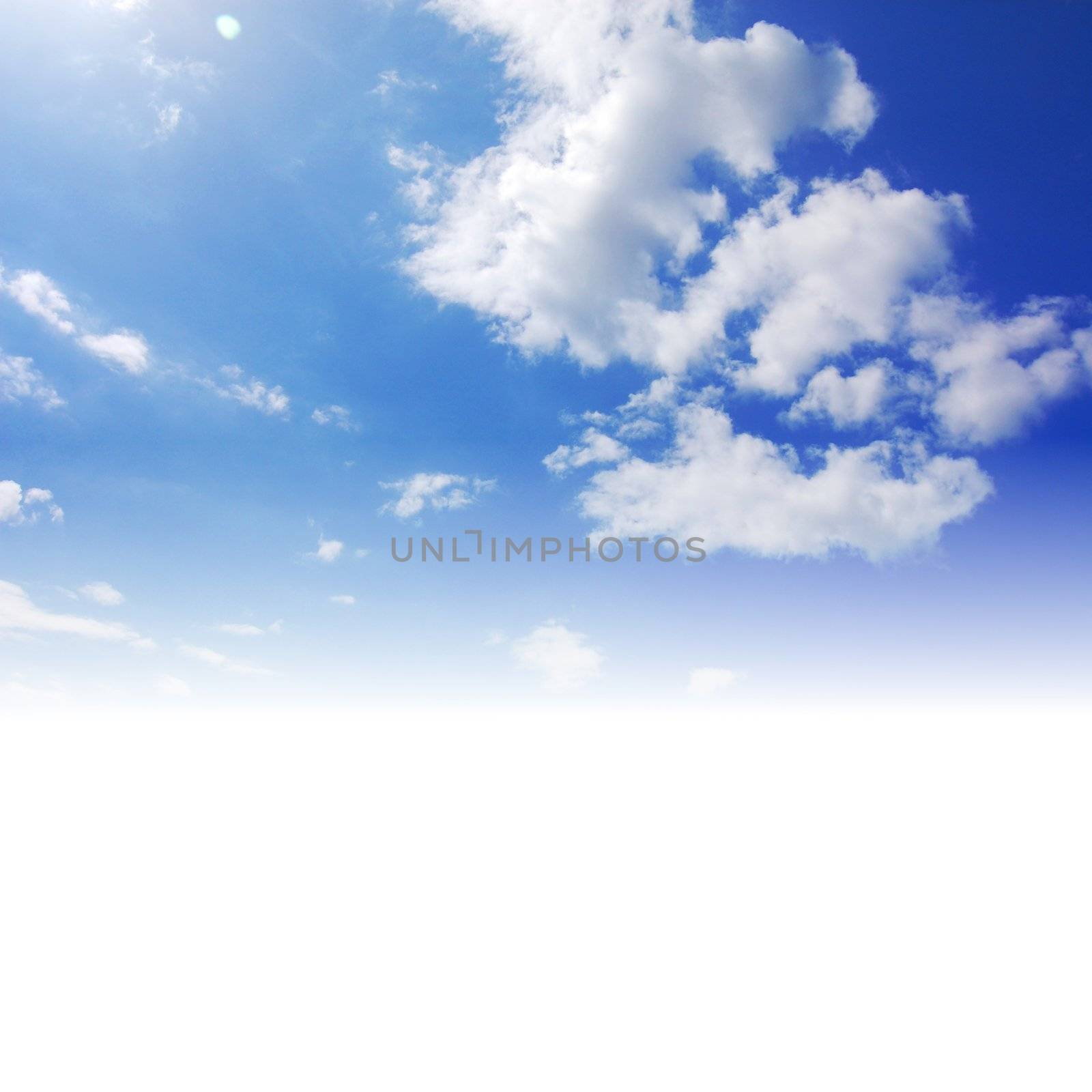 nature concept with blue sky and copyspace showing summer