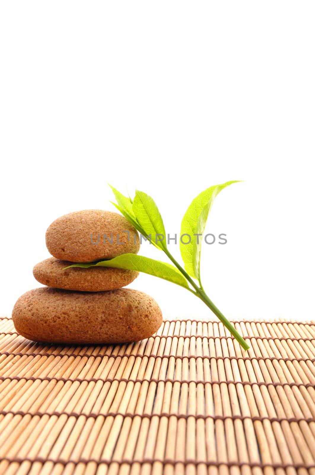 spa still life with zen stone and green leaf