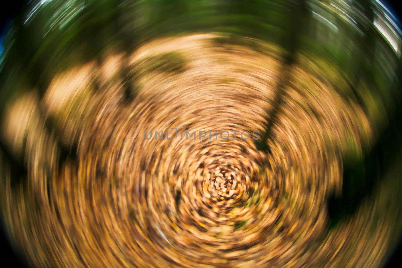 dizziness in a forest by KonstantinChe