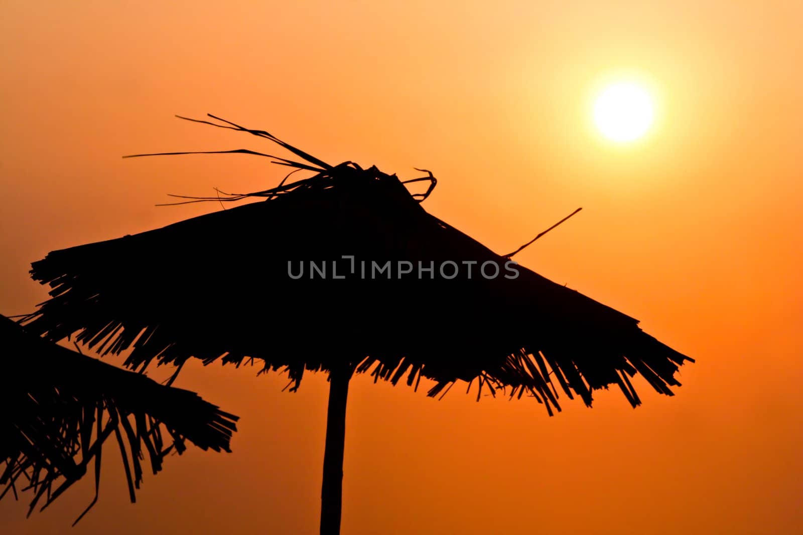Parasols on sunset by KonstantinChe