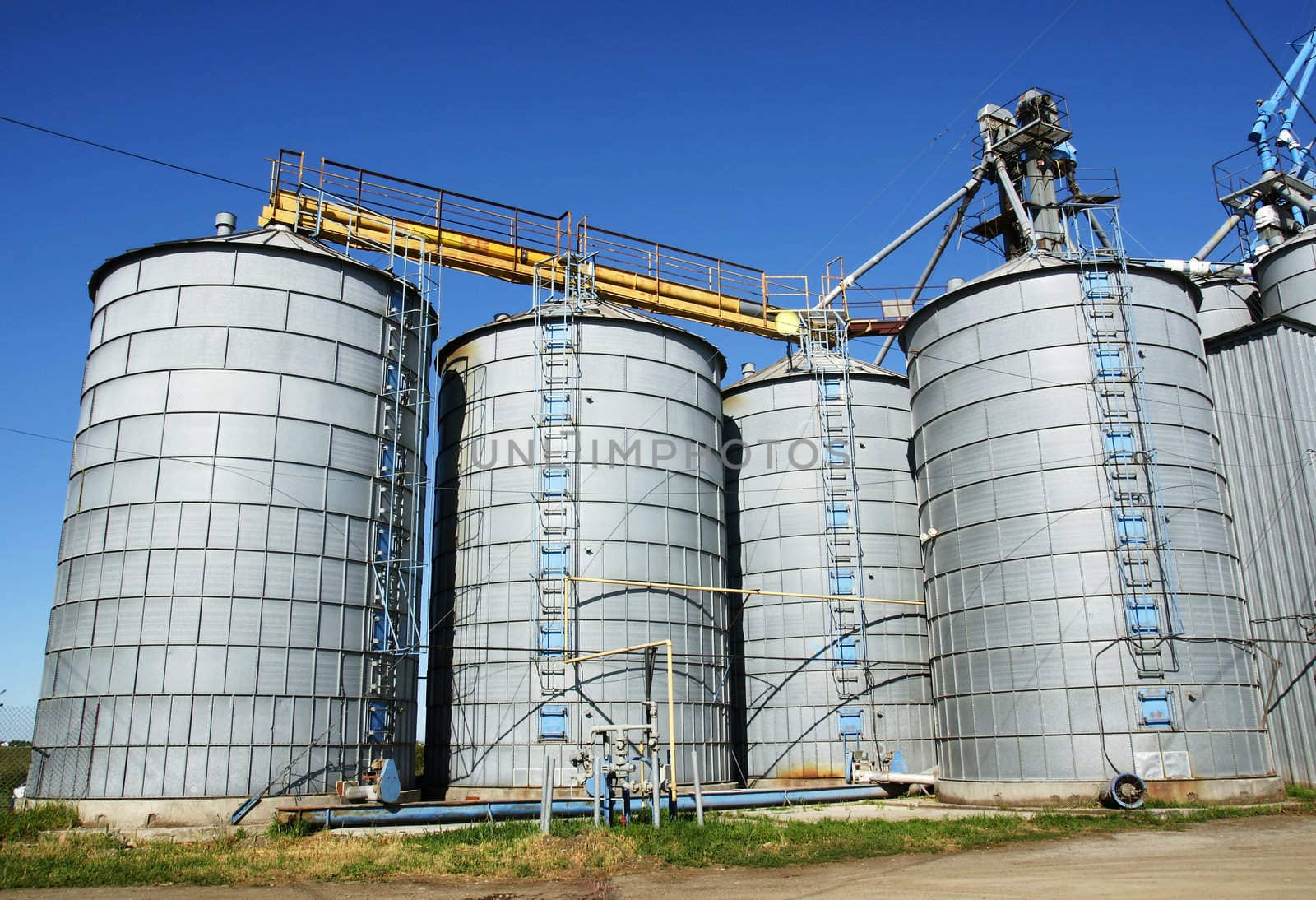 Agriculture: Group of silos filled with cereal grain against blue sky.