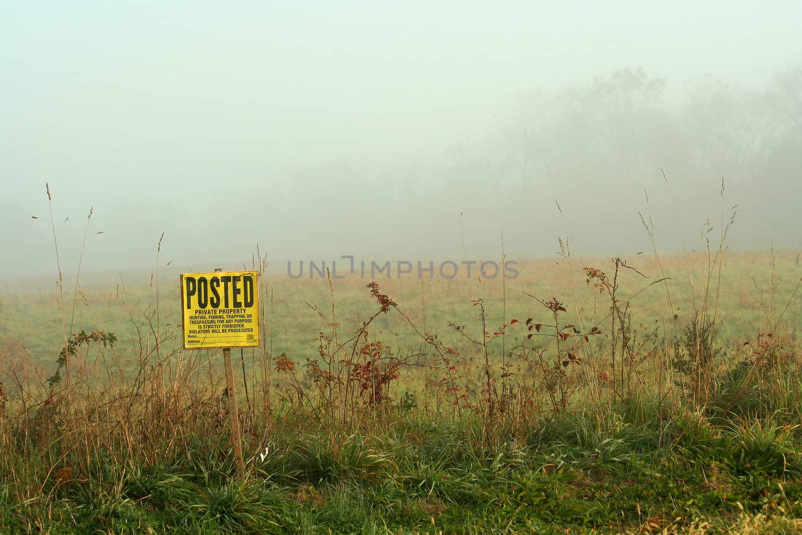 Foggy sign on the edge of a field