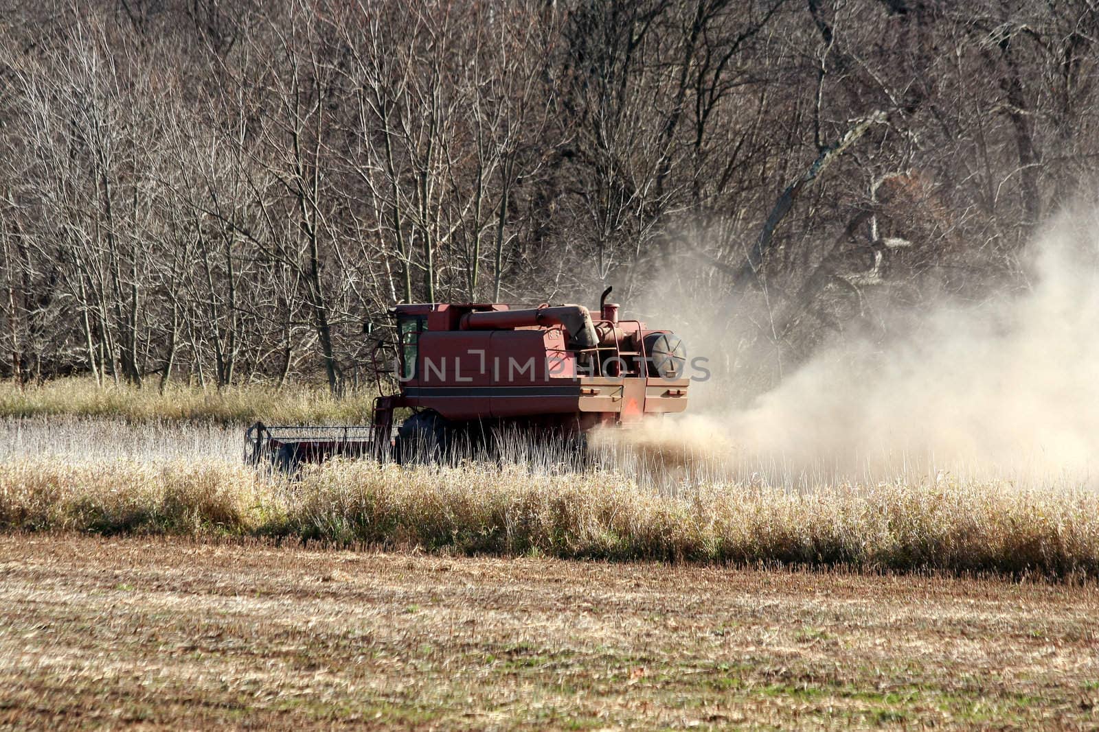 Farm combine tractor working in the fields