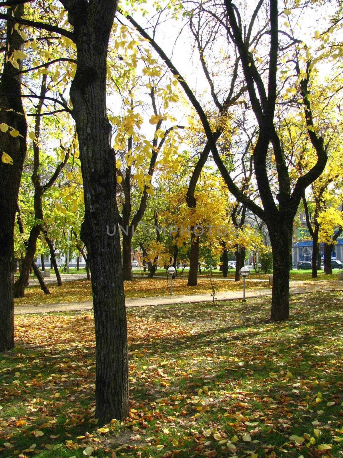 Autumn; park; square; a roadway; a tile; day, leaves; trees; Russia
