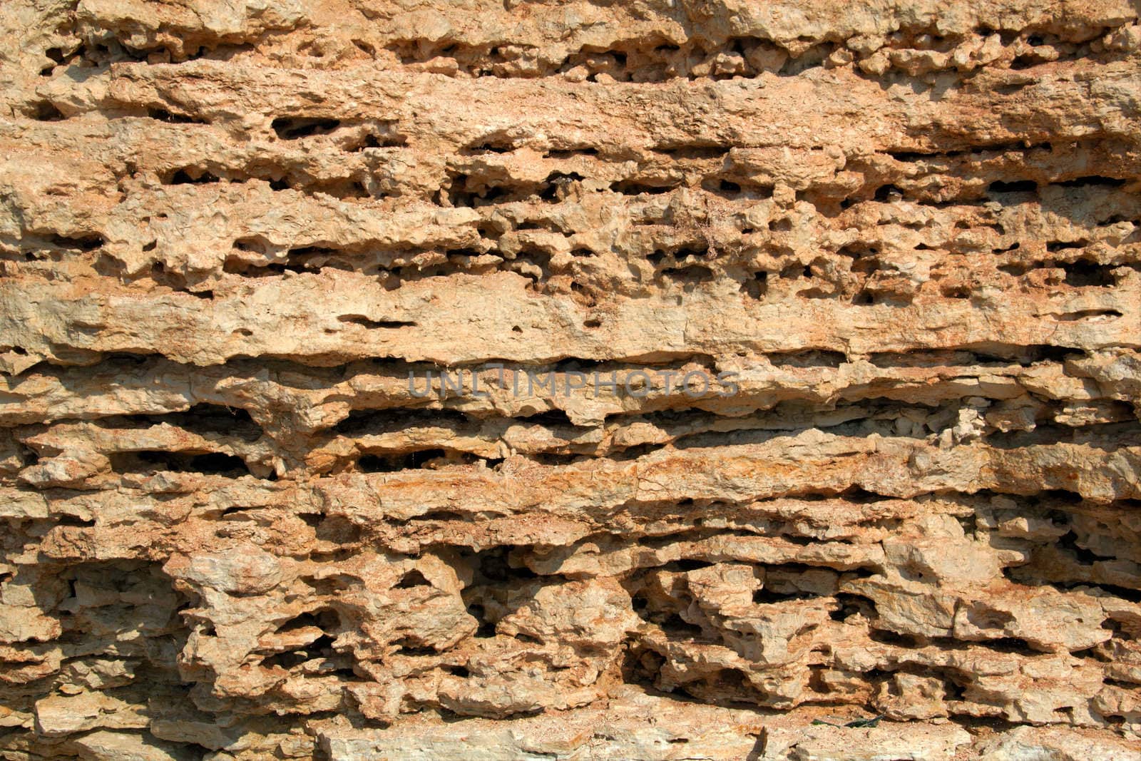 The limestone texture