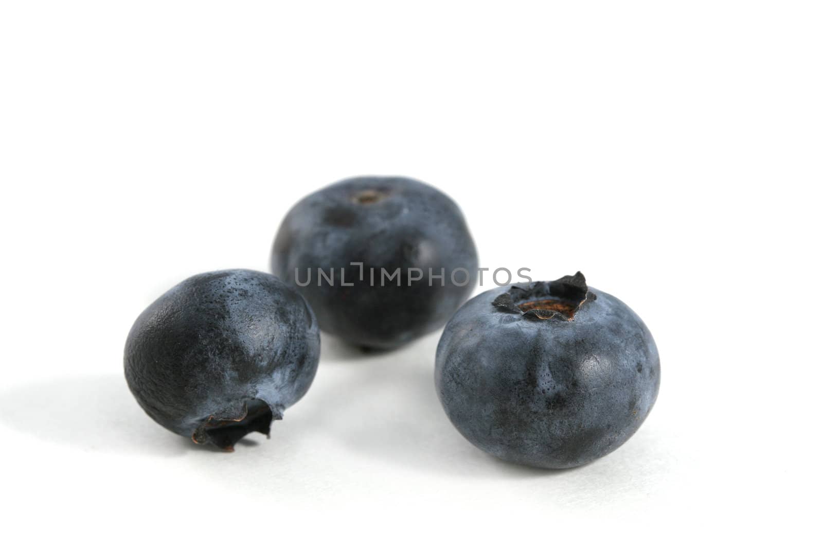 Three blueberry on white background