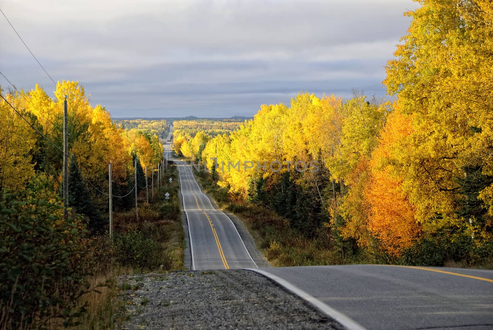 Picture of an asphalt road in autumn