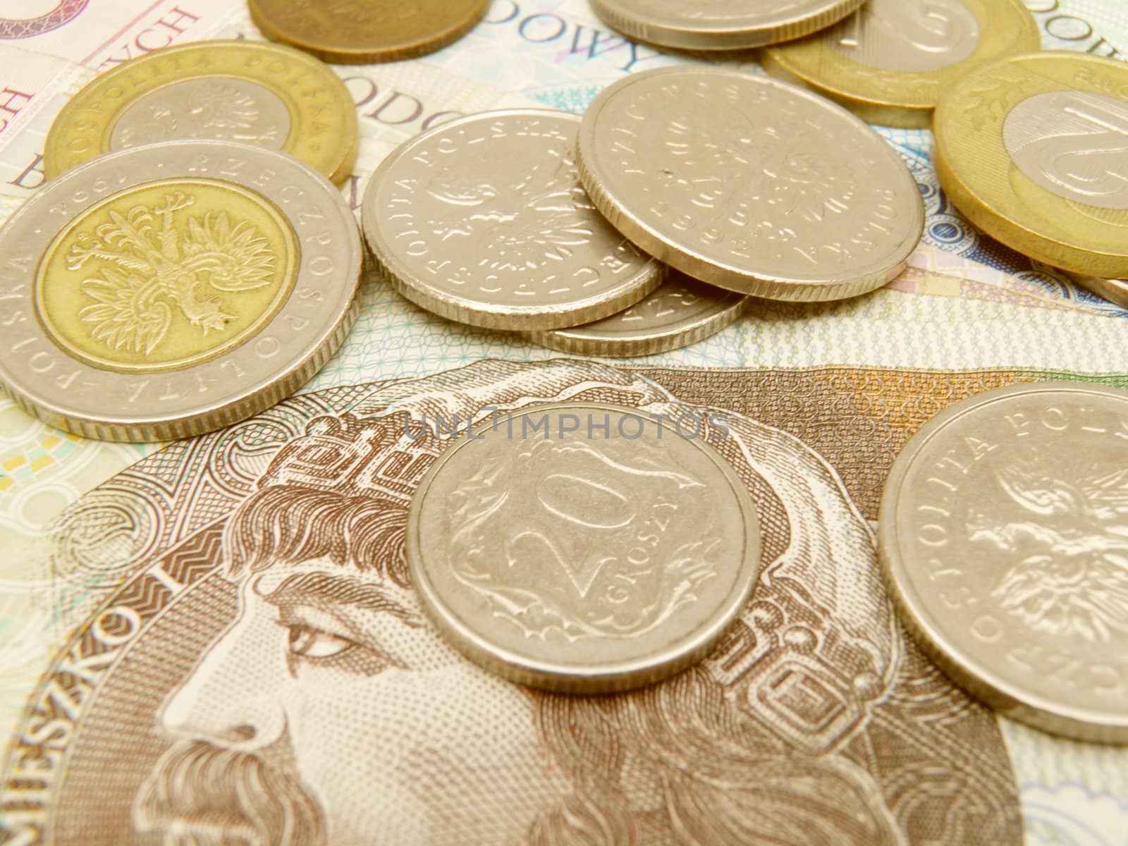 Polish zloty currency money - banknotes and coins