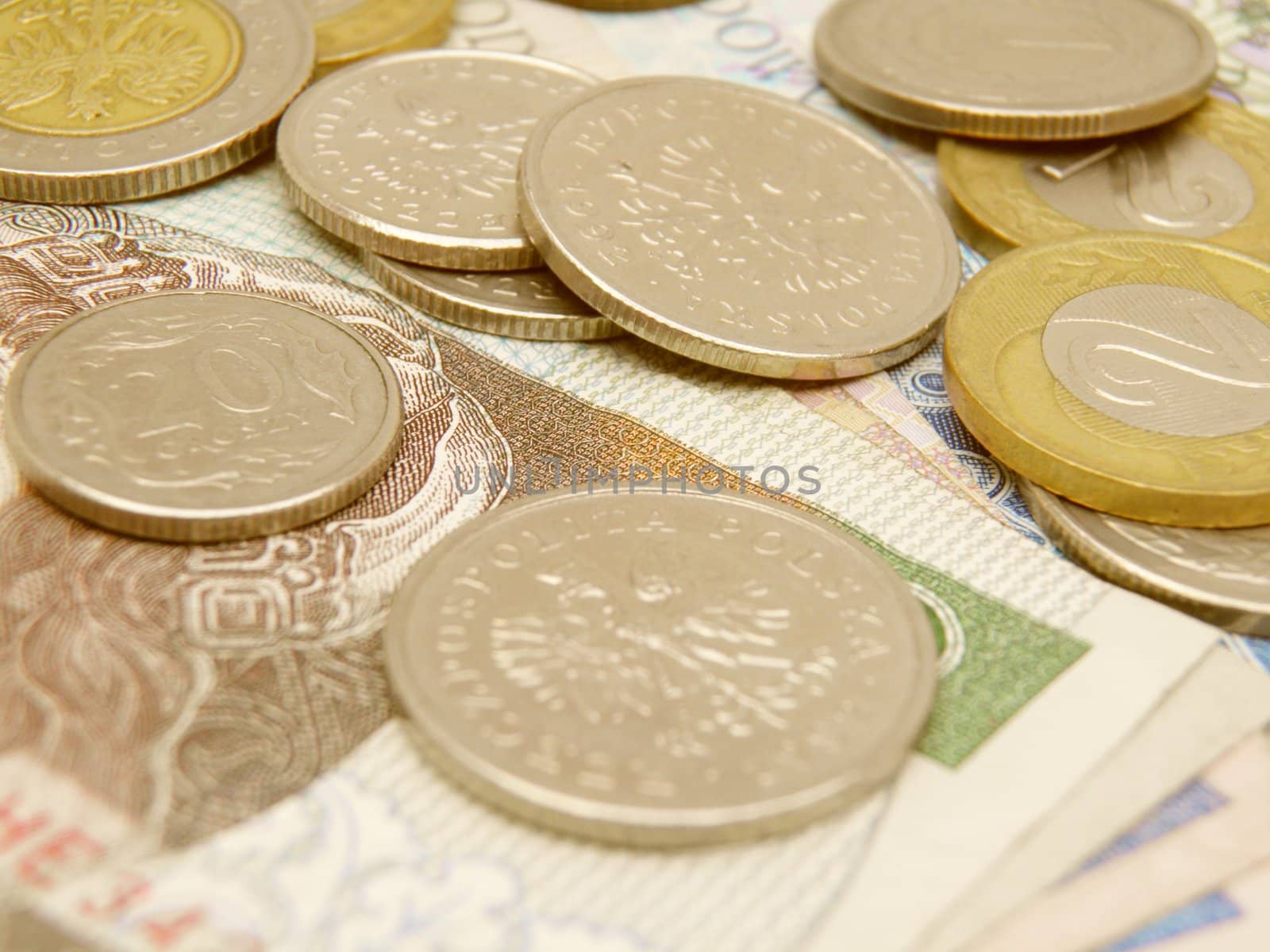 Polish zloty currency money - banknotes and coins