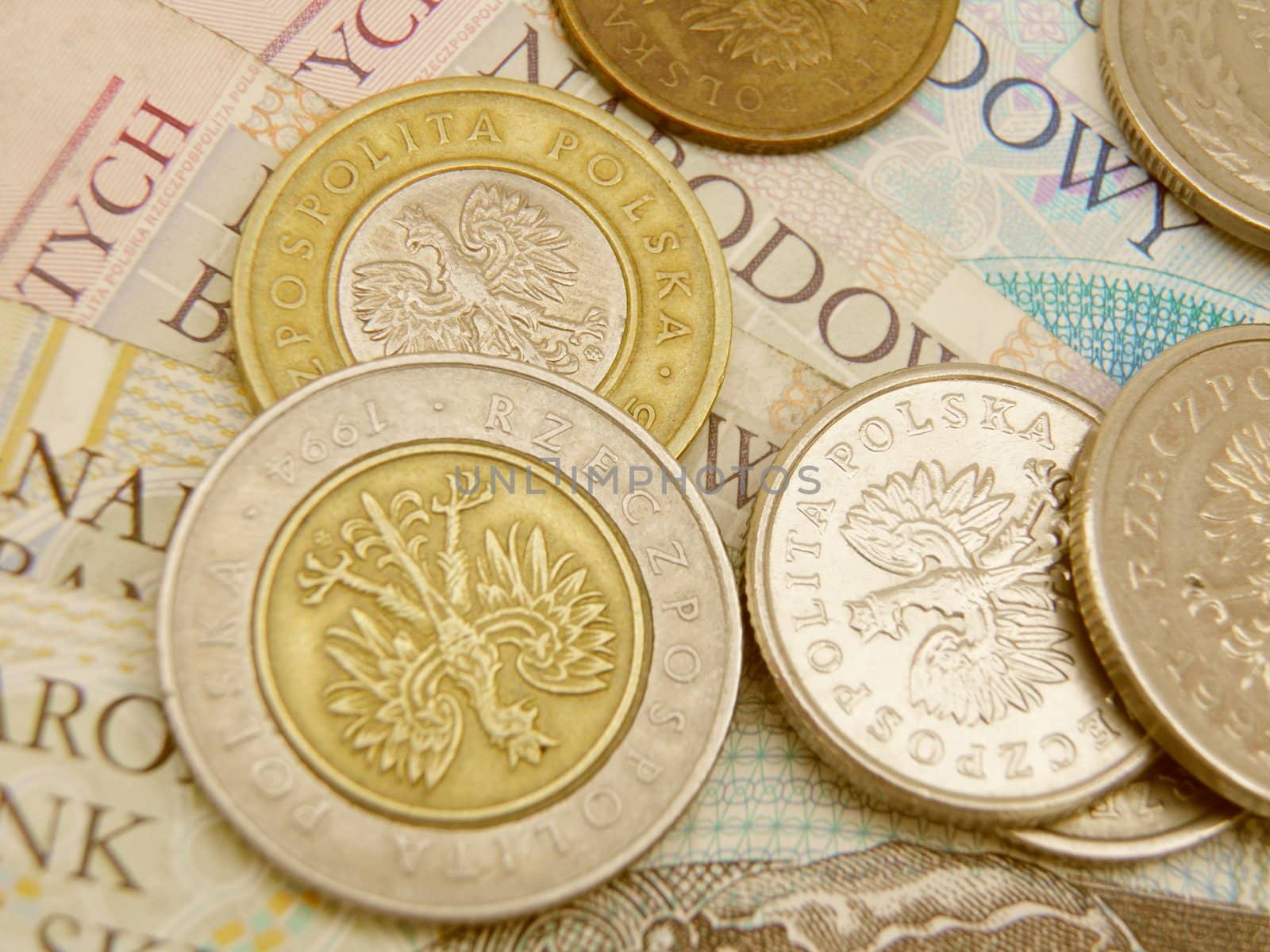 Polish zloty currency money - banknotes and coins