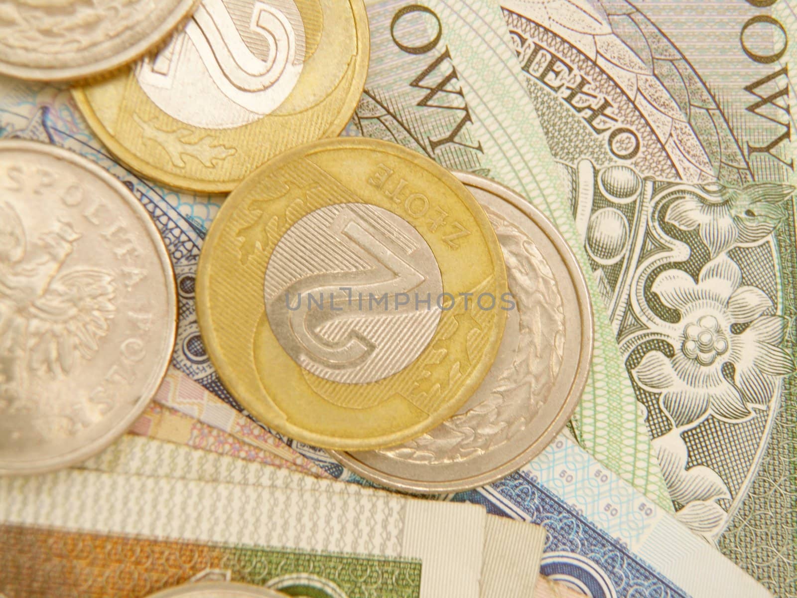 Polish zloty currency money - banknotes and coins