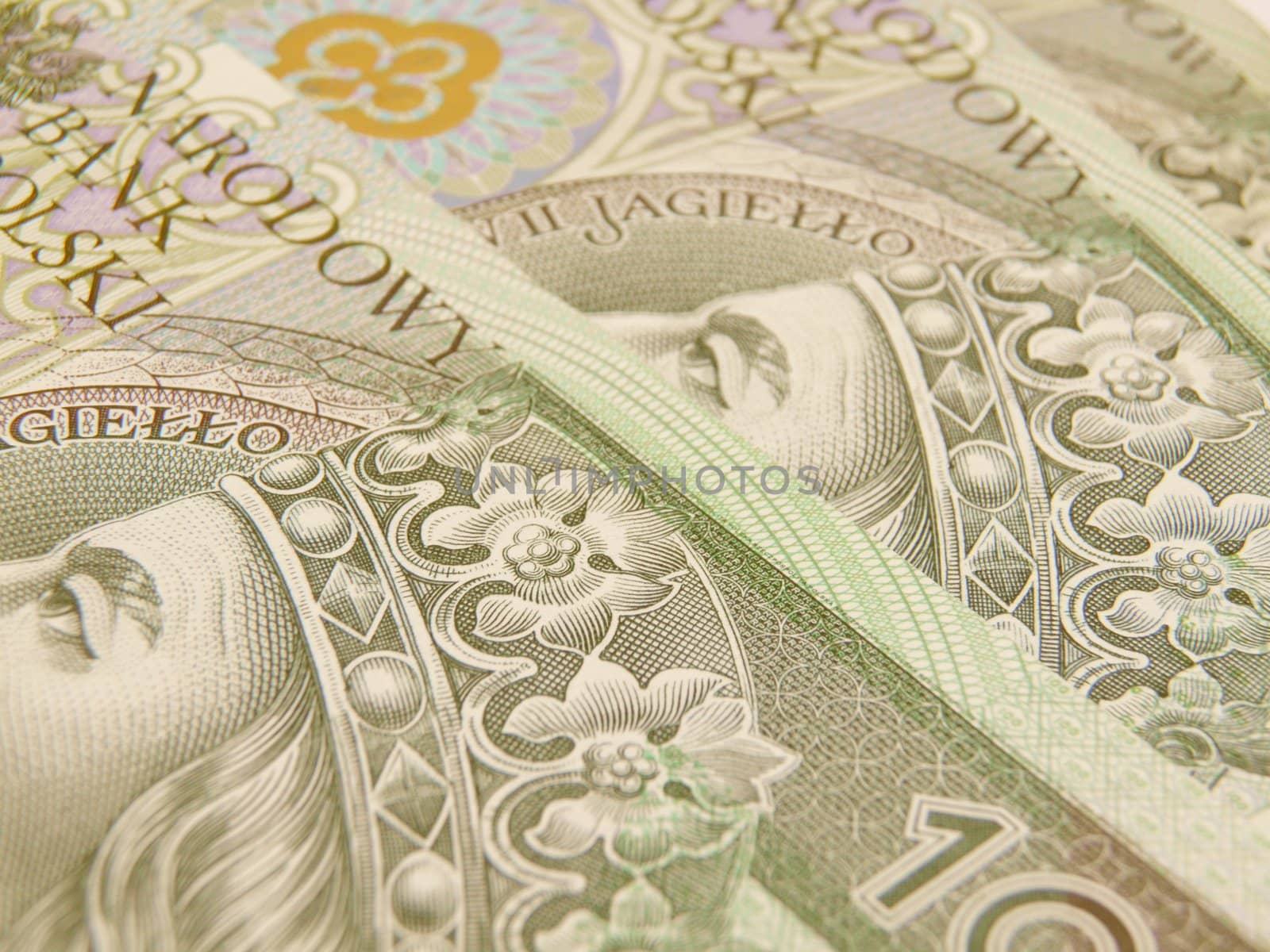 Polish zloty currency money - banknotes and coins
