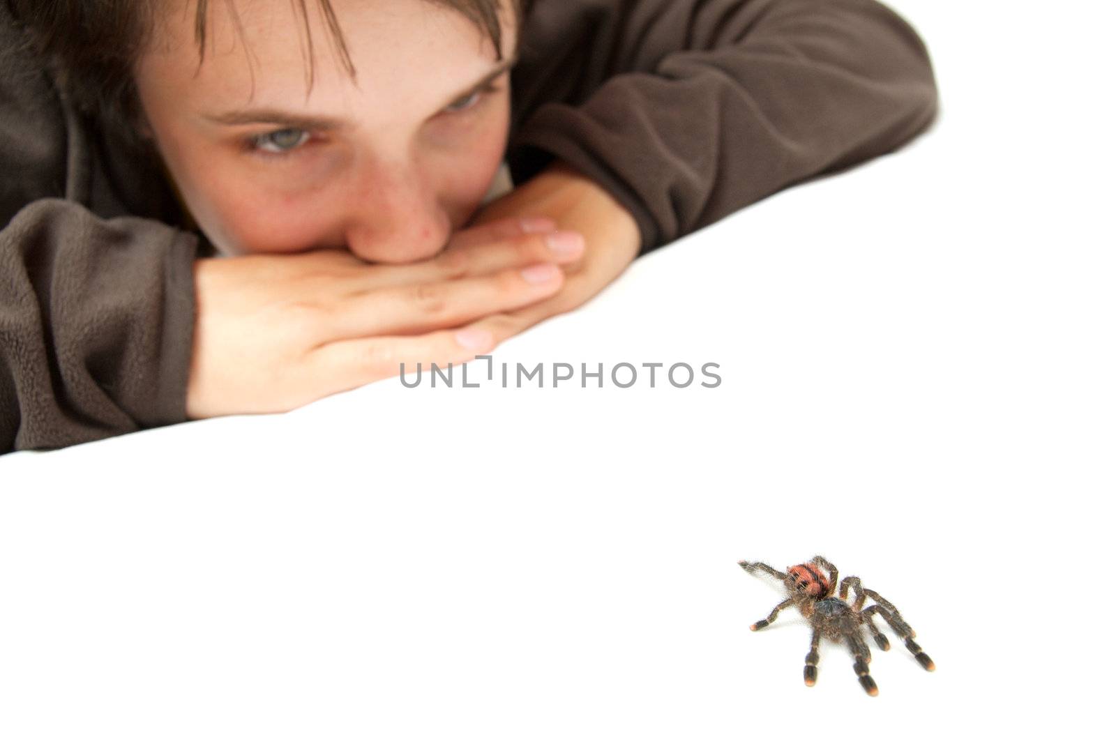Girl watching a crawling spider