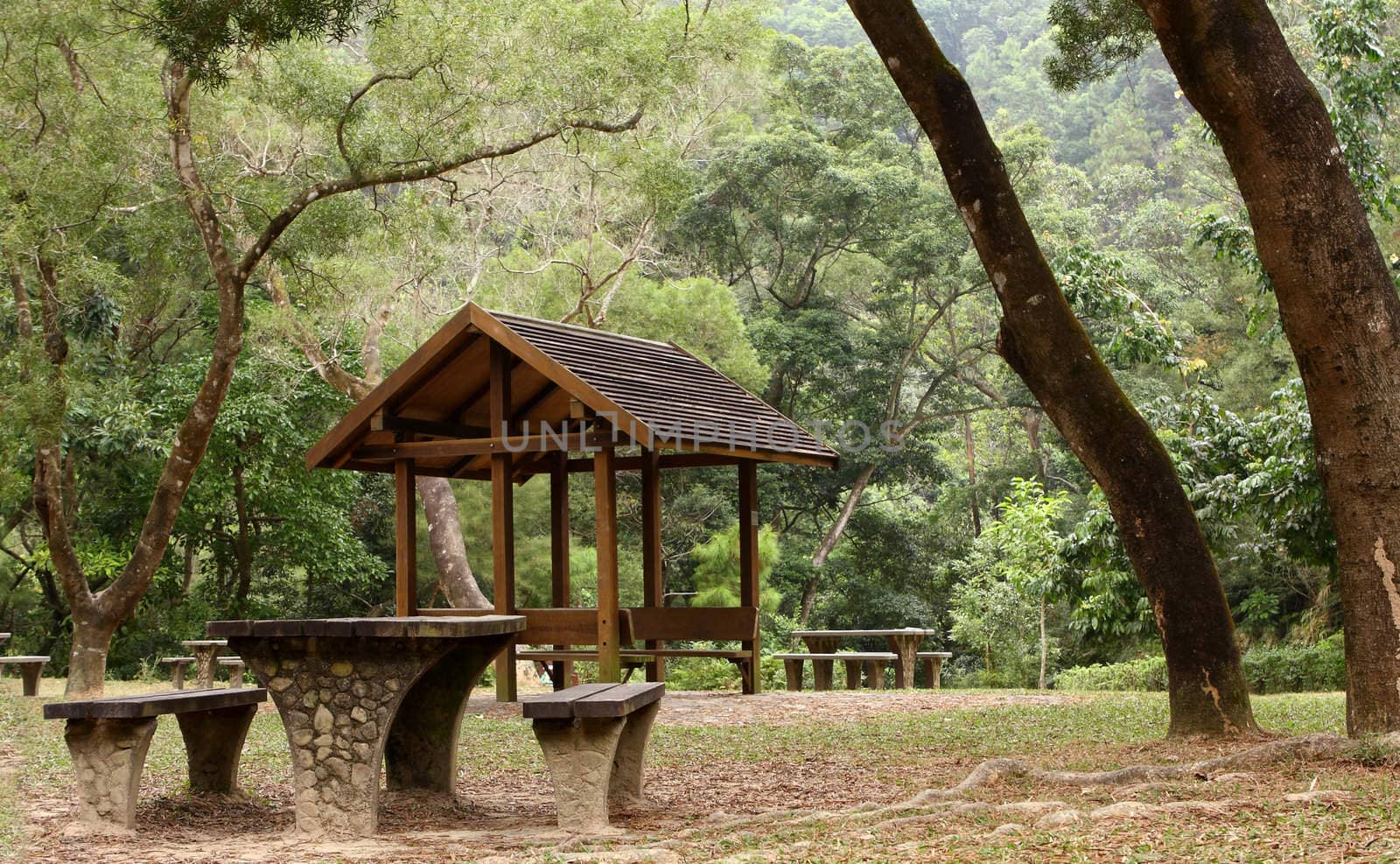 Picnic table and pavilion at countryside at day