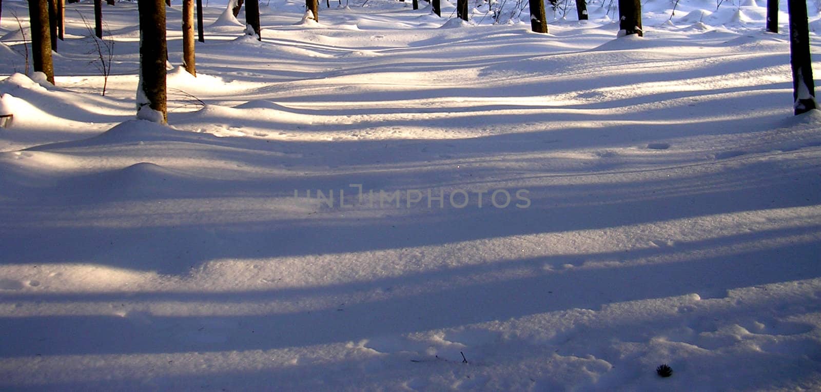 Shadows on the snow 7 by Karolus