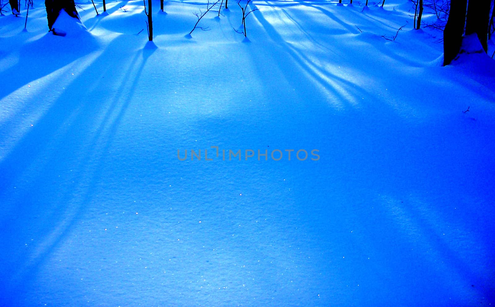 Shadows on the snow 8 by Karolus
