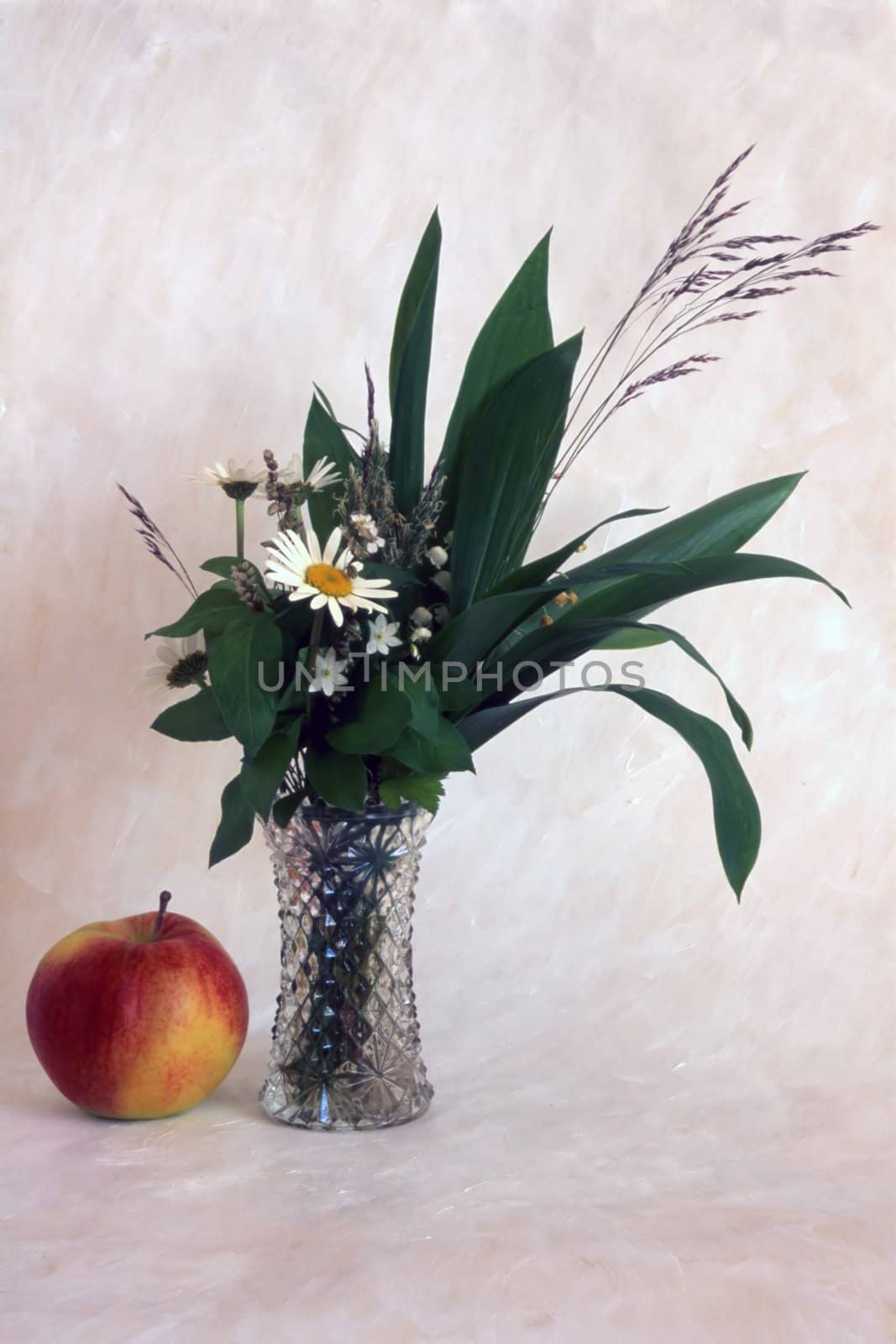 A vase of flowers with on apple isolated on painted background