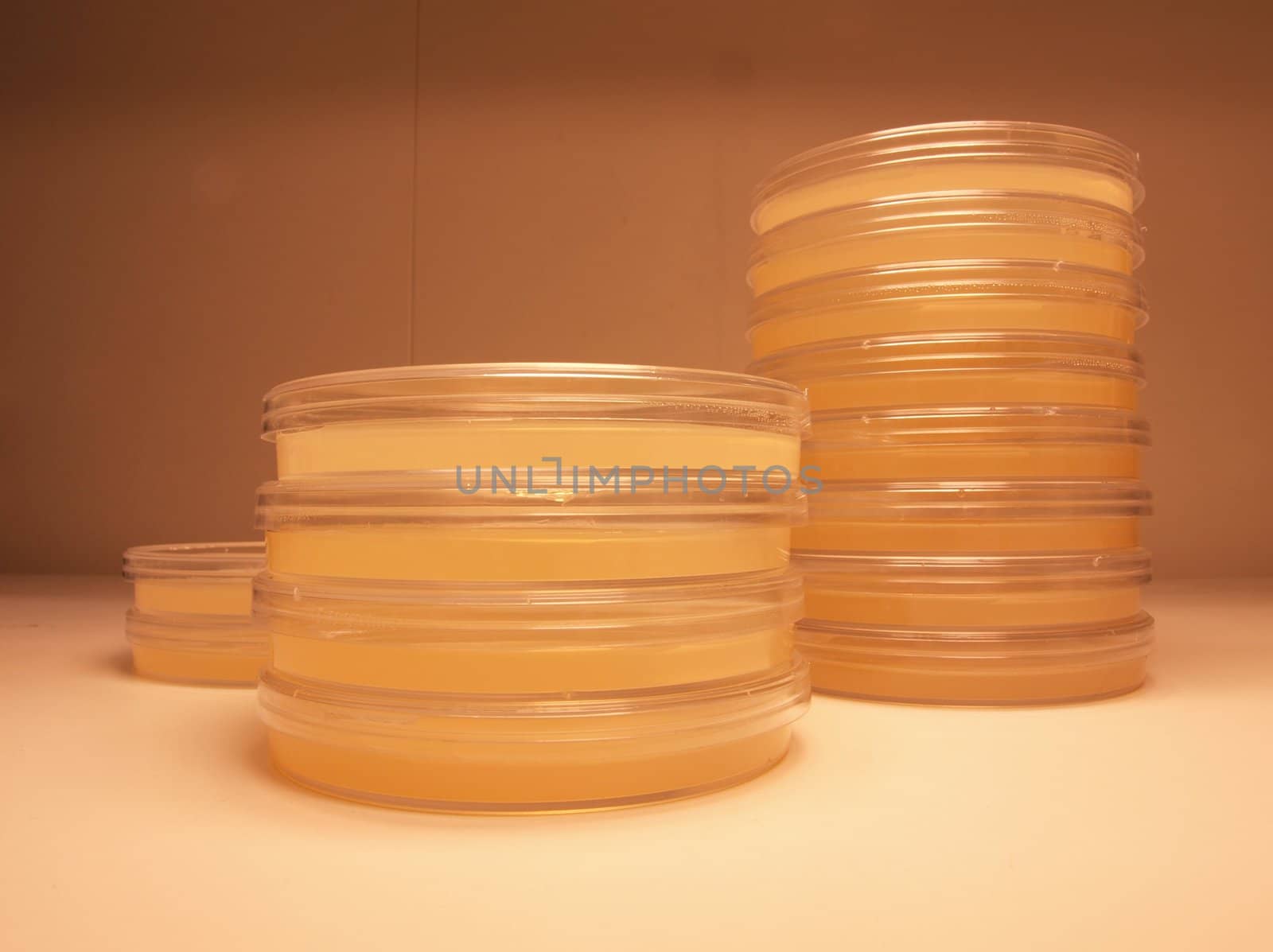 Clinical test plates containing agar for bacterial colony growth
