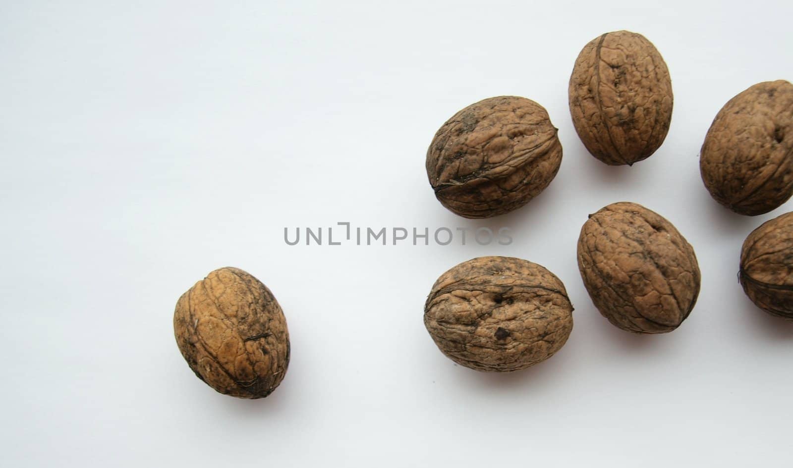 Walnuts by Alminaite