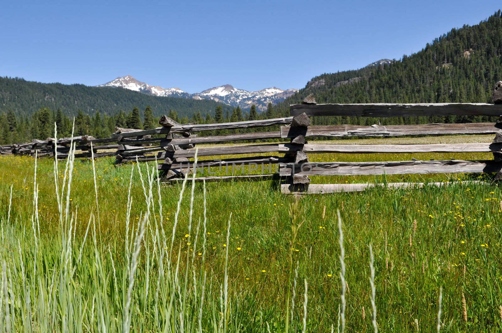 Lassen National Park Close Up