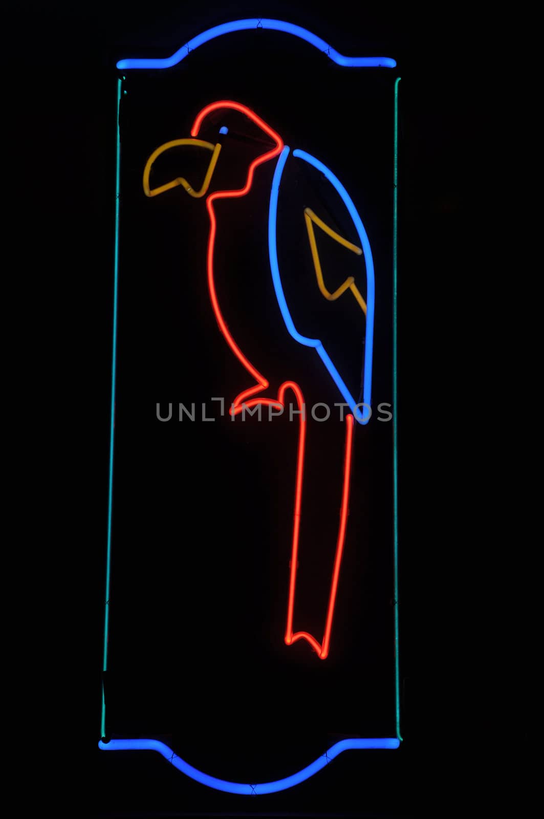 Parrot Neon Sign by bbourdages