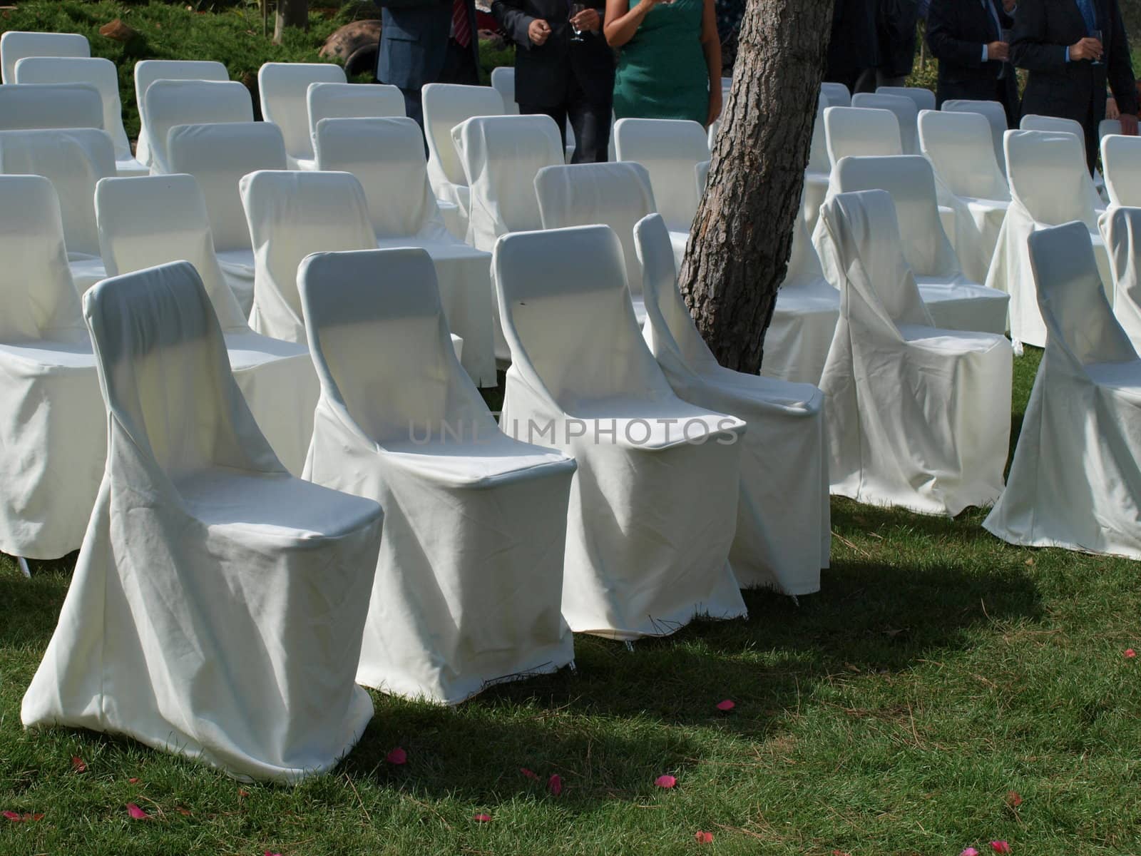 Banquet chairs arranged in rows in a garden wedding