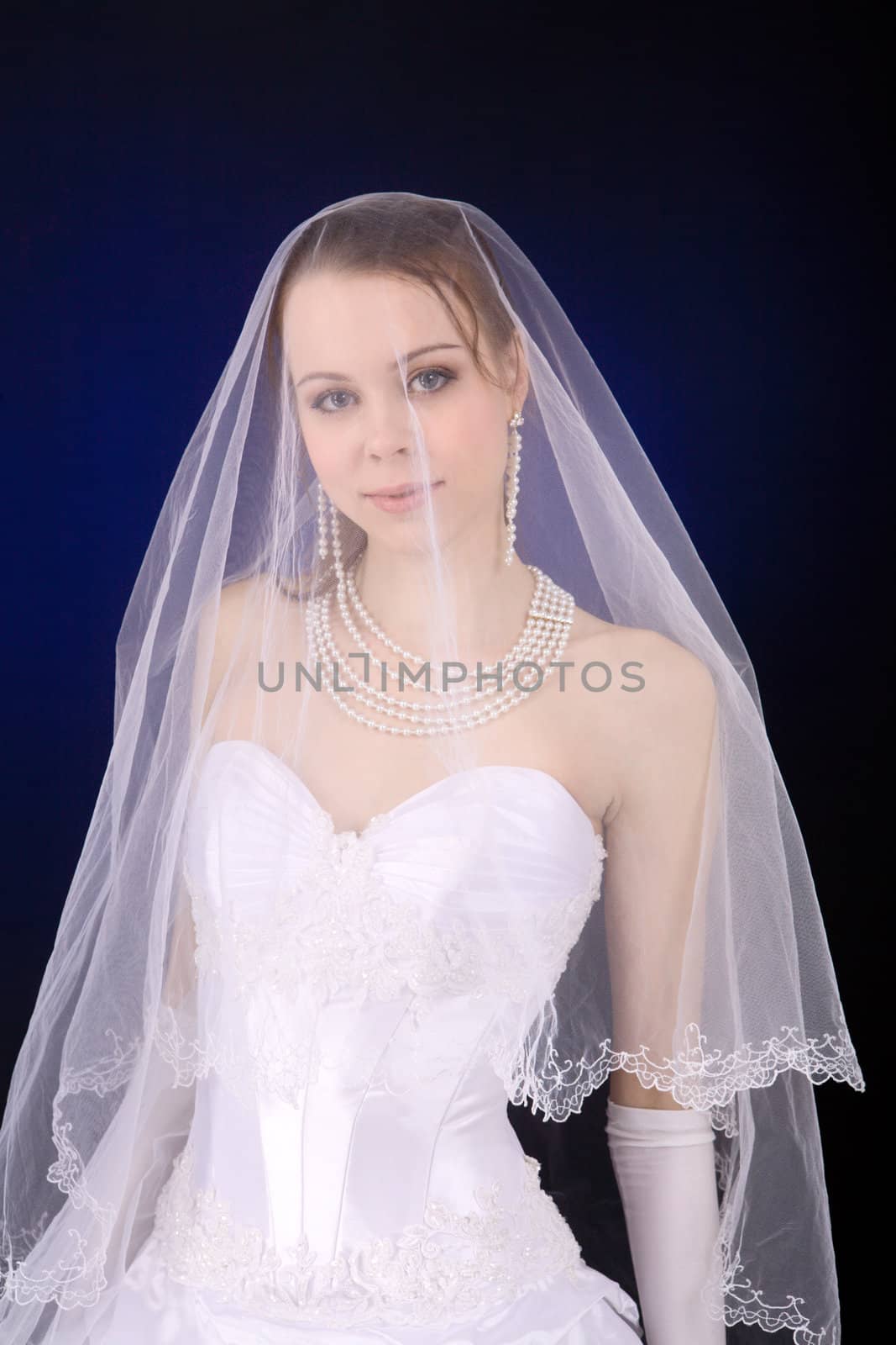 Bride with under veil over dark blue background